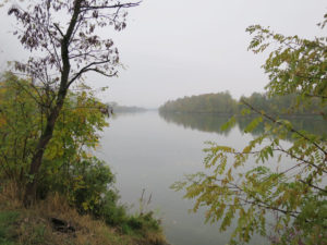 Nahe der Heimat eines Weltkonzerns