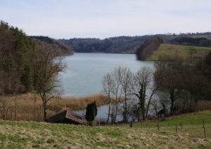 Die verdickte Aare westlich der Eymatt