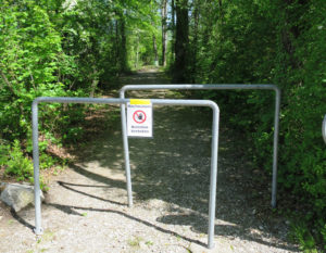 Der Uferweg als Reich der Amphibien