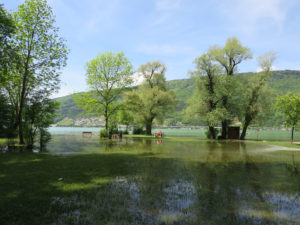 Ipsacher Strandboden: Surrealistische Traumbilder an der Grenze von Land und Wasser