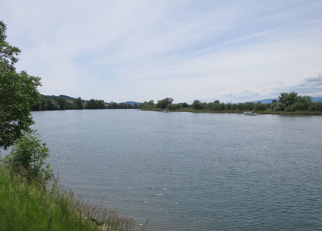 Bei Arch hat sich der einstige Bergbach endgültig zum Strom gemausert.