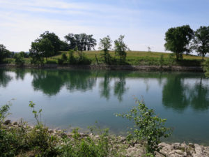 Grüne Vielfalt am Nidau-Büren-Kanal