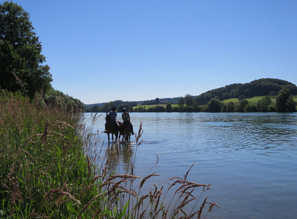 Gespenster am hellichten Tag? Zwei Reiterinnen pflügen durch die Aare.