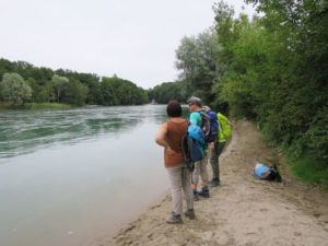 Sandstrände wie am Meer unterhalb Wynau