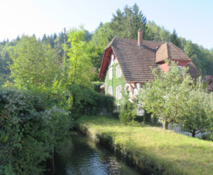 Murgenthaler Idyll am Rotkanal