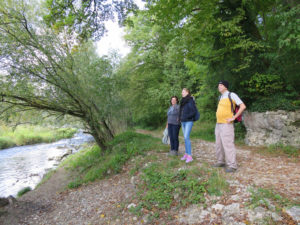 Unterwegs an der alten Aare im Niederamt