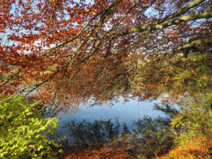 Bei Schinznach: Oh doch, der Weihnachtsmarkt steht vor der Tür.