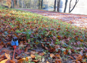 Einblick in die Kabellandschaft