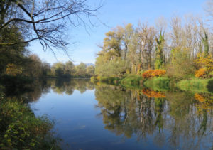 Hier achteten wir weniger auf die Kabel, aber sie waren gleichwohl da.