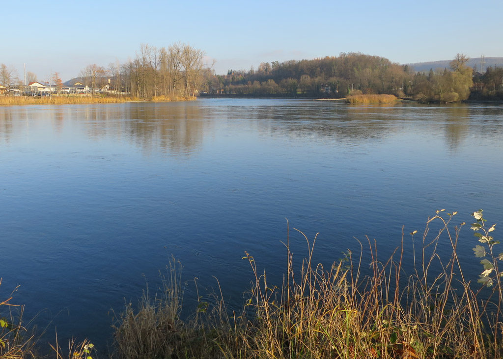 Die letzten Meter der Aare. Der Kümmerling hinten in der Mitte, neben dem baden-württembergischen Grümpelhaufen, ist der Rhein.