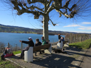 Tiefblicke und Übersicht bei Seengen