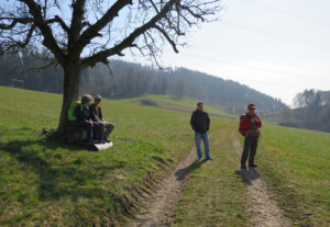 Sonniger Ausguckposten bei Oberdiessbach