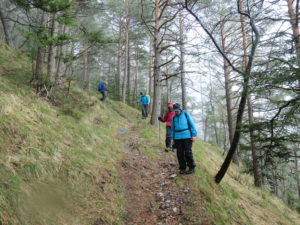 Das Land der Aare kann auch ganz schön steil tun: Abstieg durch den Föhrenwald nach Bergschwendi.