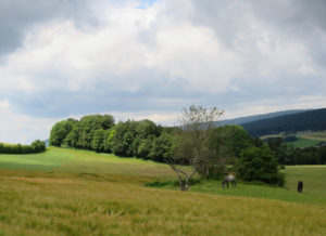Himmel und Erde in farbenfrohem Dialog