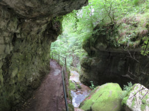 Auf dem Schluchtweg hinunter nach Twann