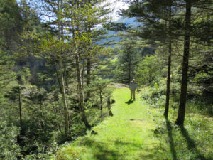 Auf dem alten Grimsel-Saumpfad unterhalb der Sprengfluh