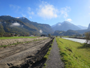 Hier wird neuerlicher Versumpfung vorgebeugt.