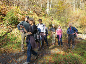 Hier könnte es durchgehen. Oder da. Oder etwa dort?