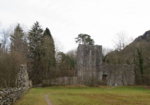 Ruine Weissenau
