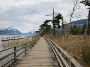 Im Naturschutzgebiet Weissenau