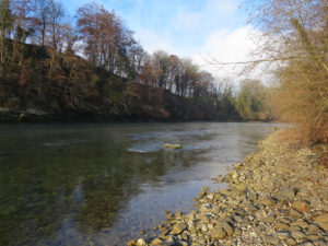 Zwischen Uttigen und Jaberg bewegt sich der Fluss in einem engen Korsett.