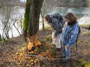 Unterwegs in der Biber-Akademie