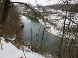 Tummelplatz gefährlicher Tiere oder harmloses Traumland?