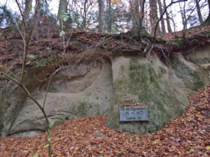 Mysterium im Gäbelbachtal: Was, von wem, für wen?