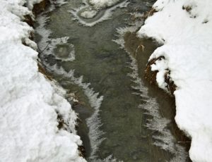 Im Winter sei alles tot und starr? Von wegen.