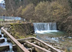 Im Reich von Wasserfischen und Faschinenbuhnen