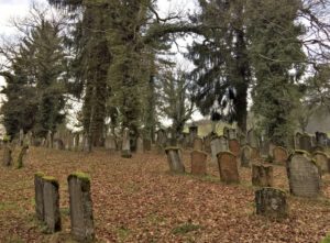 Der jüdische Friedhof im Surbtal