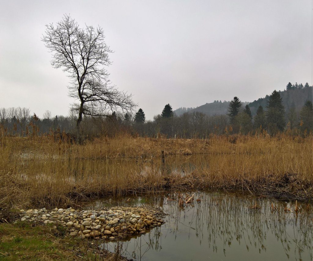 Wasser, Wind und Weite bei Meienried