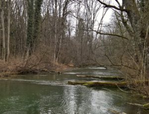 November im März an der Alten Aare