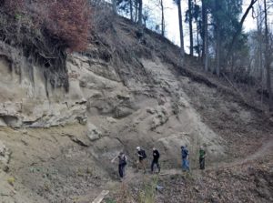 Auch im Flachland gibt es manchmal überraschende Unwegsamkeit.