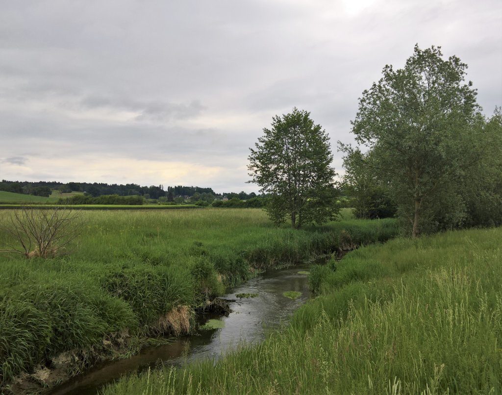 Mehr Bach als Fluss – doch auch die Bünz ist ein Aare-Zubringer.