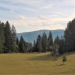 Ausgangspunkt Jaunpass: Die Idylle trügt. «Hundsrügg 2 h 10 min» stand auf dem Wegweiser, doch der Nichtwanderleiter gab gleich von Anfang an den Tarif durch: Gerastet werde erst oben auf dem Gipfel. Cornelia eilte flugs zum Kiosk, um sich mit einem Gipfeli zu wappnen.