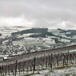 Am Schinznacher Weinberg vorüber stiegen wir in die Höhe.