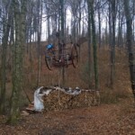 Im Wald hat der Bildhauer Schang Hutter eine Eisenkutsche in die Bäume gehängt.