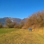 Buntes Finale: Auf dem Weg nach Altreu