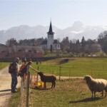 Am Ziel: In Fell gepackte Bewohner von Uetendorf hiessen uns willkommen.