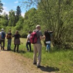 Unterhalb von Utzenstorf widmen sich die Aaronauten der Betrachtung der Emme.