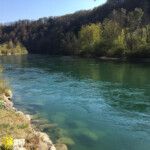 Stefans Aare: Bei Bremgarten BE